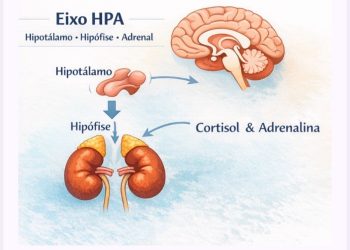 Não é descansar um fim de semana. É regular o eixo