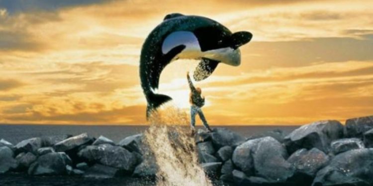 Free Willy
