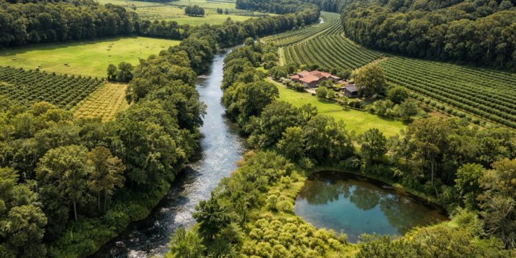 Função Social da propriedade rural e normas ambientais