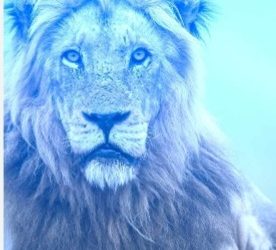 Microempreendedor Individual: deve ou não declarar Imposto de Renda 2026?