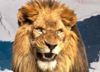 Carnê-Leão: a obrigação legal que muitos autônomos ignoram e que pode gerar penalidades severas