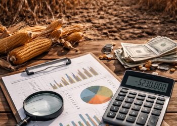 A importância dos laudos agronômicos nas demandas de prolongamento de divida decorrente do crédito rural