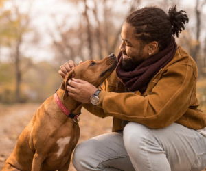Pedigree realmente importa? O que todo tutor precisa entender antes de escolher um PET