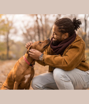 Pedigree realmente importa? O que todo tutor precisa entender antes de escolher um PET