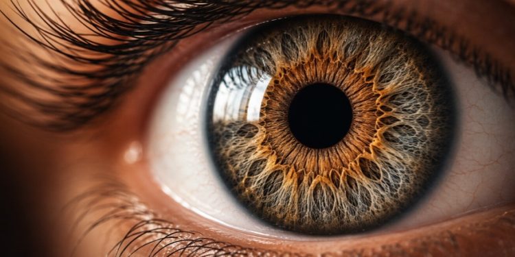O corpo fala pelos olhos: o que a exaustão moderna está deixando marcado na íris