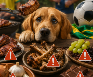 O churrasco da Copa pode matar seu PET: 5 alimentos que parecem inofensivos mas não são
