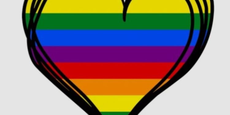 Gay Afeminado X Gay Discreto