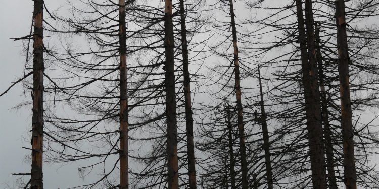 “Eu não consigo acreditar que possa amar de novo”