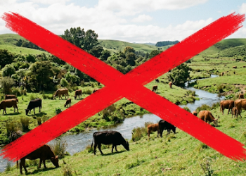 Direito Ambiental no Agronegócio: Responsabilidade Civil e a Gestão das Áreas de Preservação Permanente (APP)