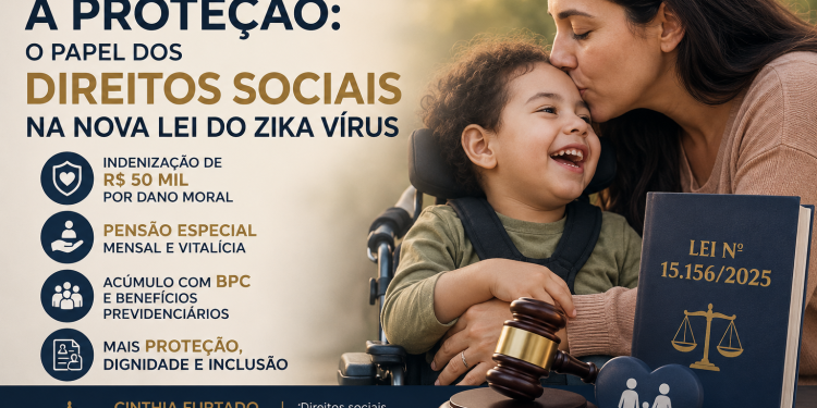 Da vulnerabilidade à proteção: o papel dos direitos sociais na nova lei do zica virus