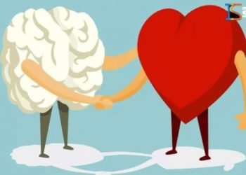 Descortinando a Inteligência Emocional