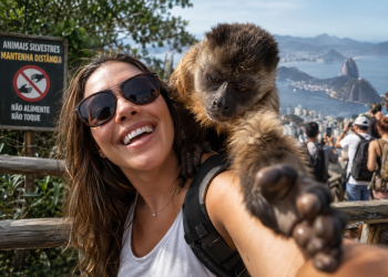 Fauna não é conteúdo