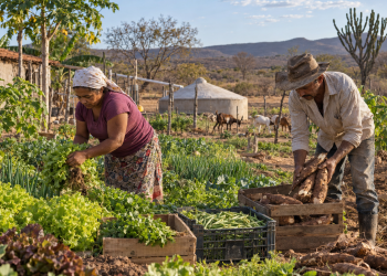 Agricultura Familiar