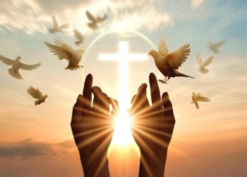 Cultivar a Paz como forma de ficar perto de Deus